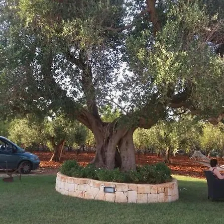 Trullo A Dde Pupetta Con Piscina * Ostuni
